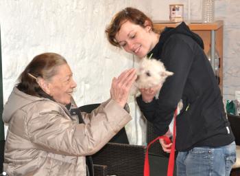 Le 3&eacute;me age et le chien