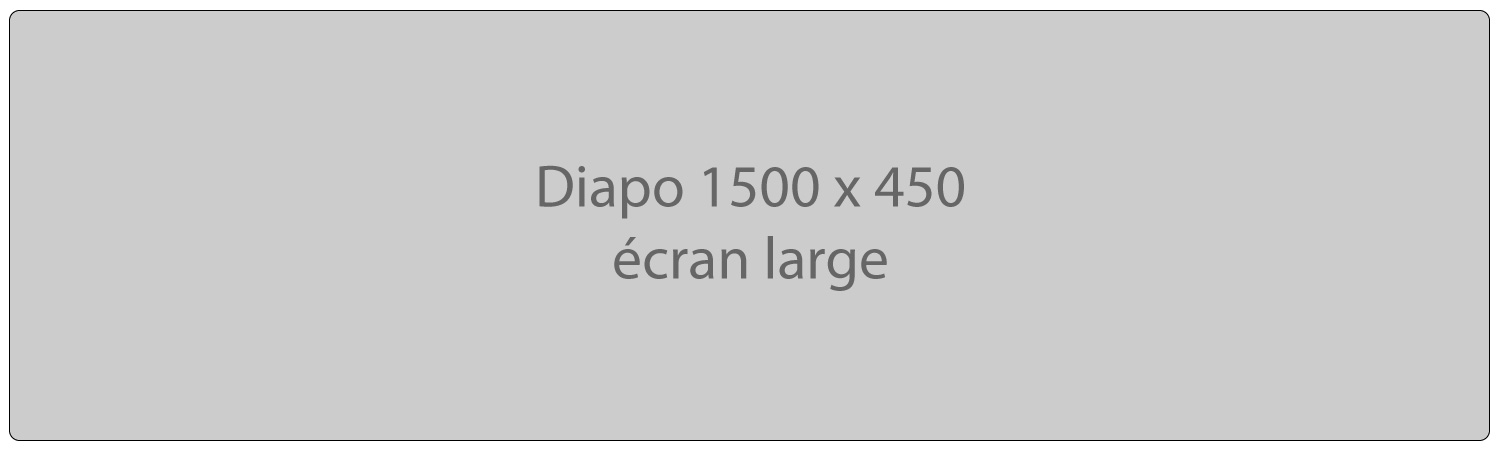 Pédadog, l'apprentissage et l'épanouissement de l'enfant