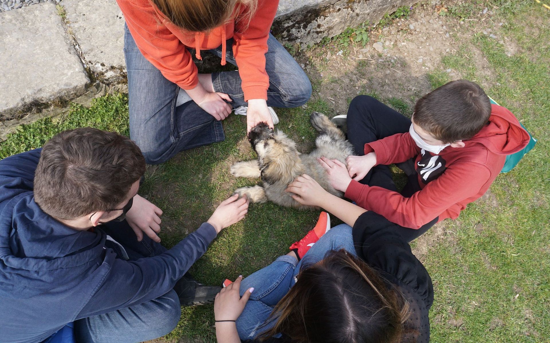 Pédadog, l'apprentissage et l'épanouissement de l'enfant