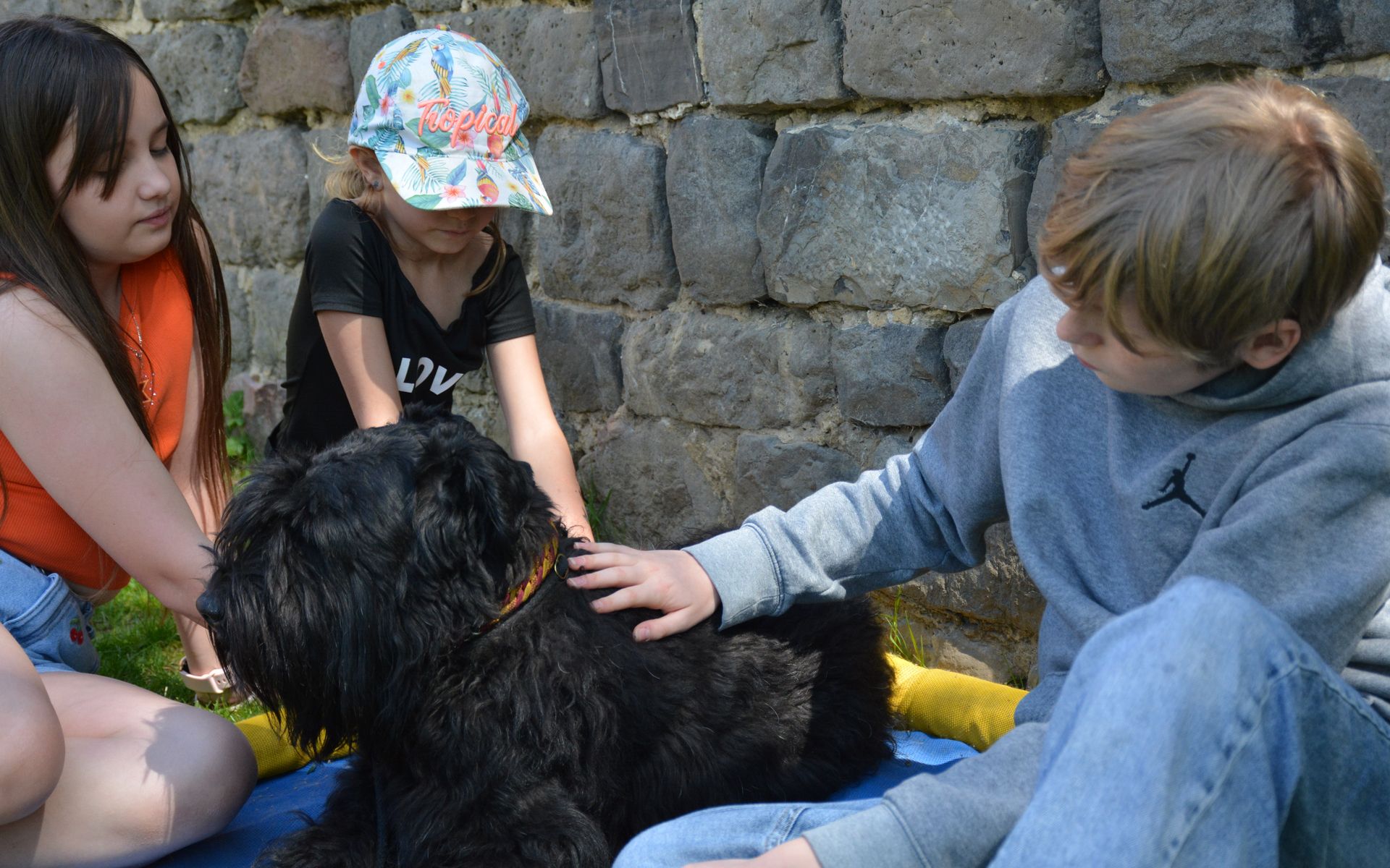 Pédadog, l'apprentissage et l'épanouissement de l'enfant