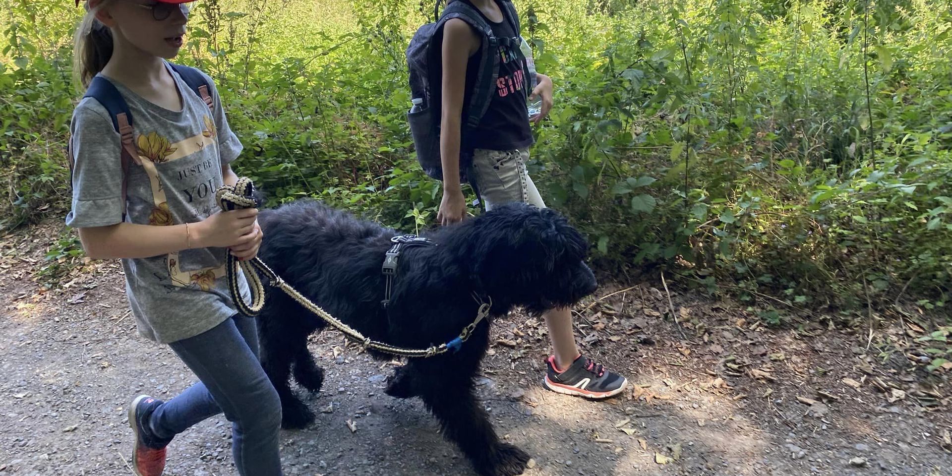 Pédadog, l'apprentissage et l'épanouissement de l'enfant